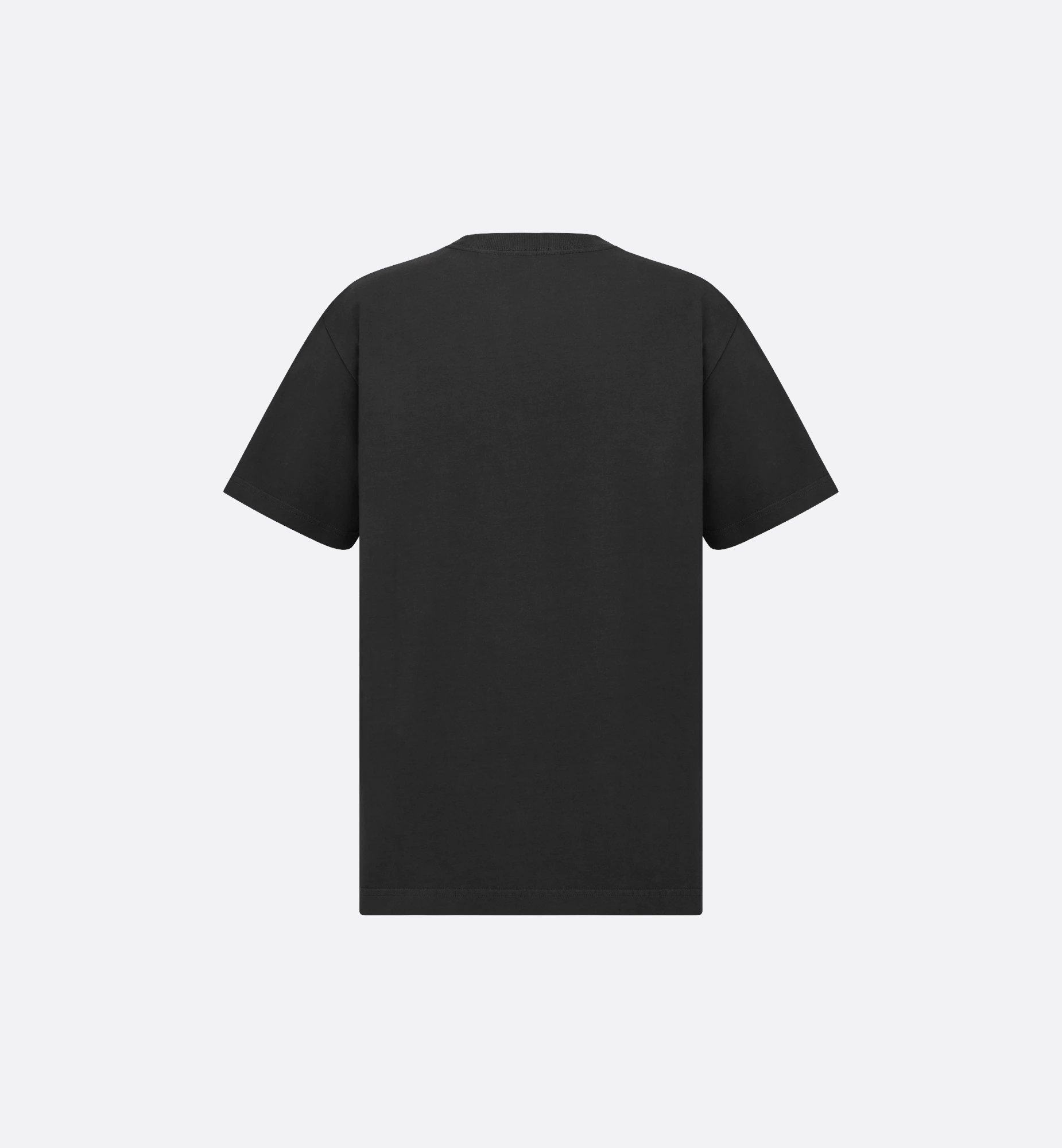 Dior LEWIS HAMILTON loose-fit T-shirt 025